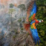 Faisol Nurrohman-Flight Through Fire