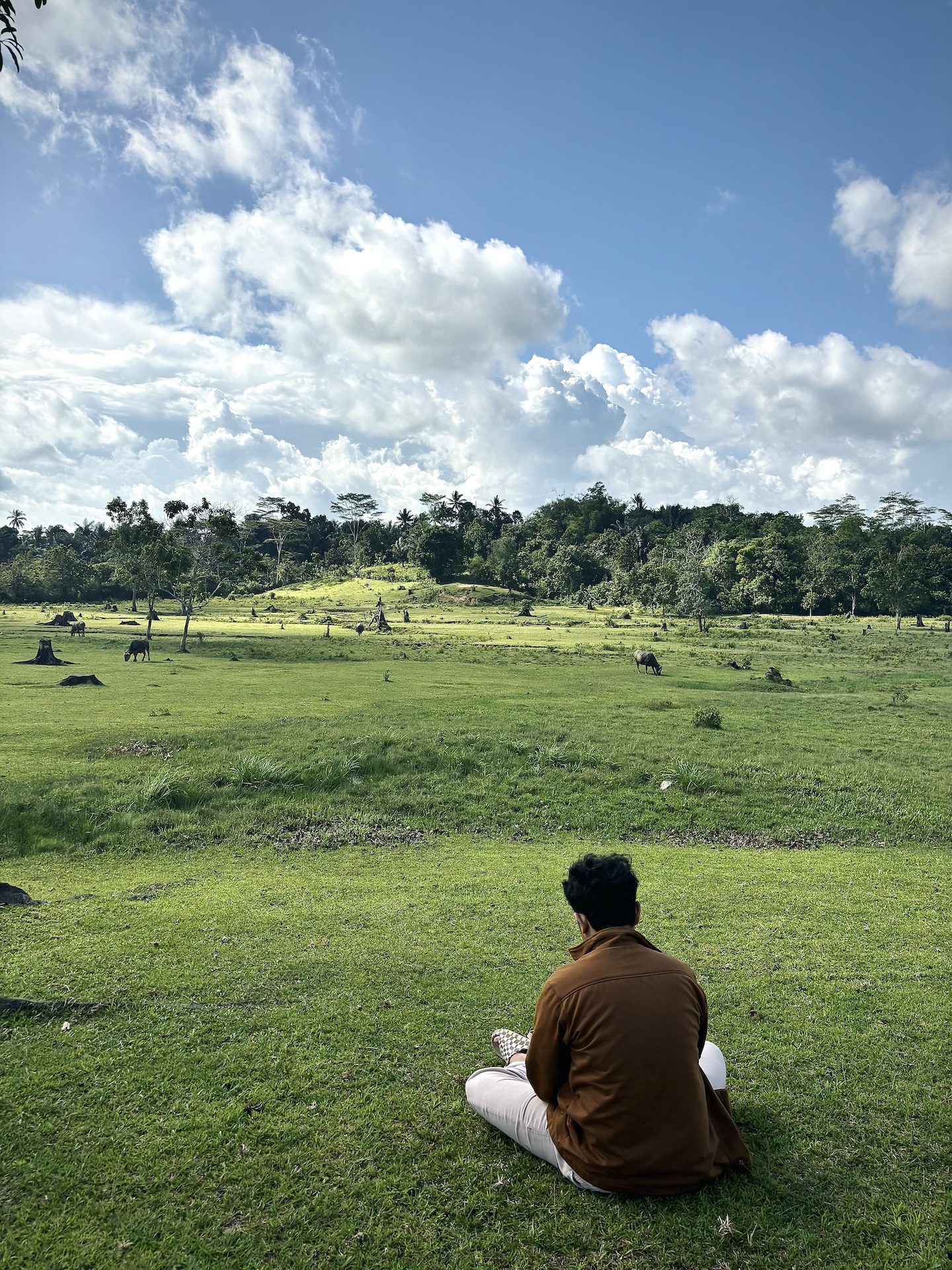 Muhammad Fikri Ichsan Feron